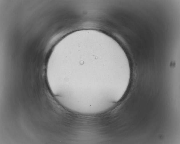 X0000112981461200910081058