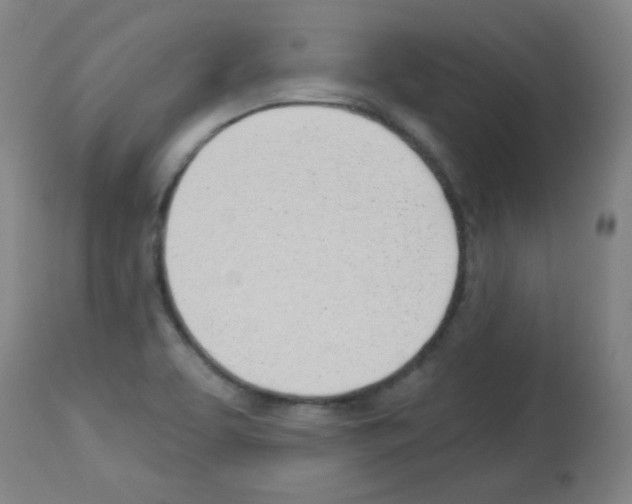 X0000112981463200910081058
