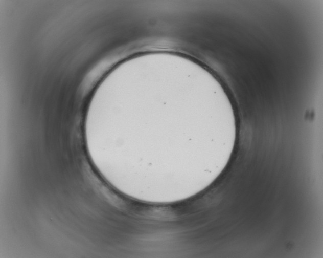 X0000112981464200910081058