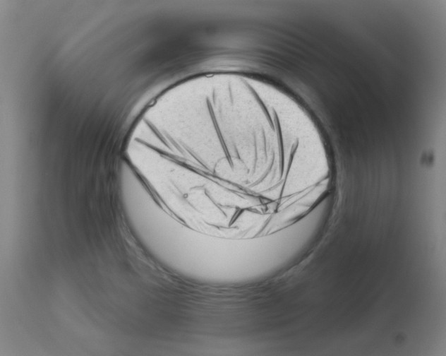 X0000112981465200910081058