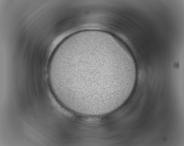 X0000112981466200910081058