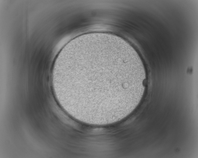 X0000112981467200910081058