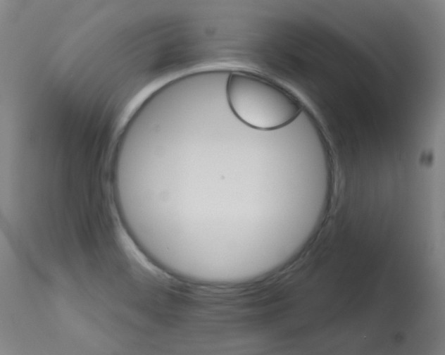 X0000112981468200910081058