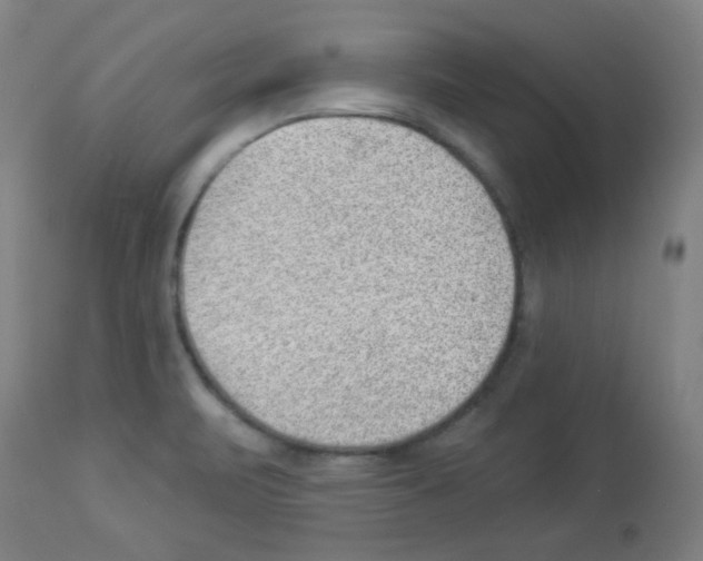 X0000112981471200910081058