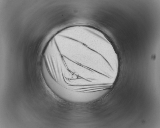 X0000112981472200910081058