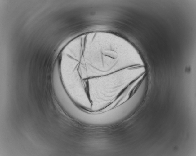 X0000112981473200910081058