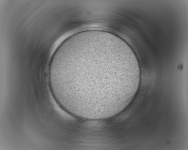 X0000112981474200910081058