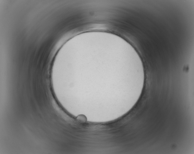 X0000112981475200910081058