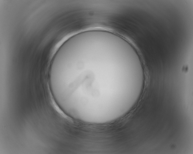 X0000112981476200910081058