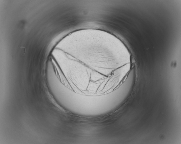X0000112981477200910081058