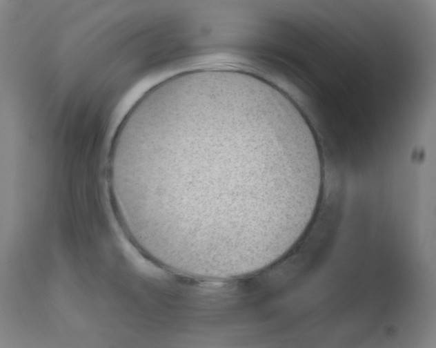 X0000112981478200910081058
