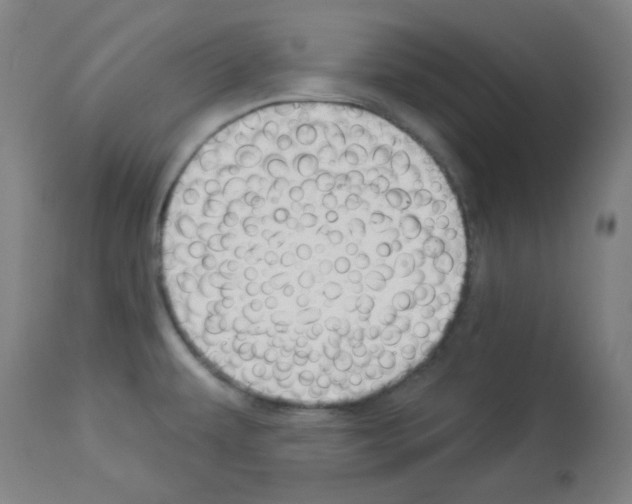 X0000112981479200910081058