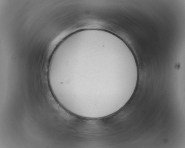 X0000112981480200910081058