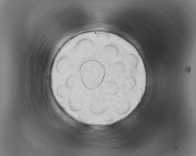 X0000112981483200910081058