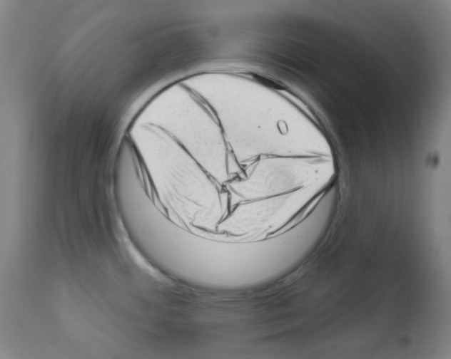 X0000112981484200910081058
