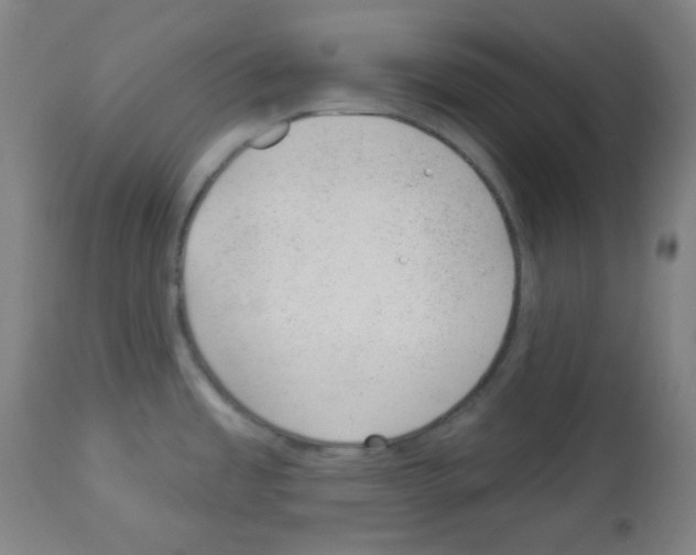 X0000112981485200910081058