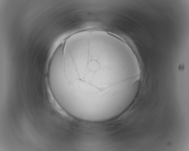 X0000112981488200910081058