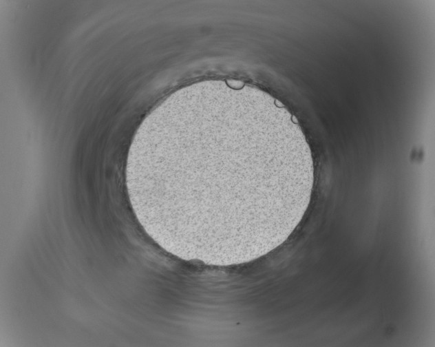 X0000112981489200910081057