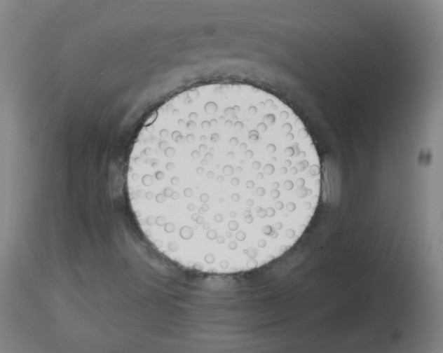 X0000112981491200910081057