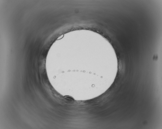 X0000112981492200910081057