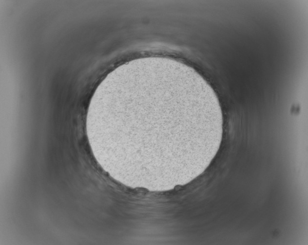 X0000112981493200910081057