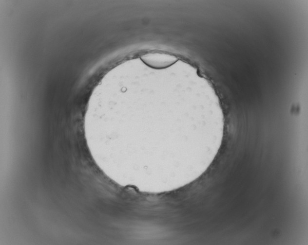X0000112981495200910081058