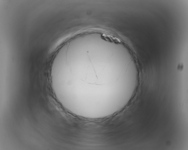 X0000112981496200910081058