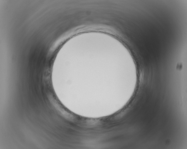 X0000112981498200910081058