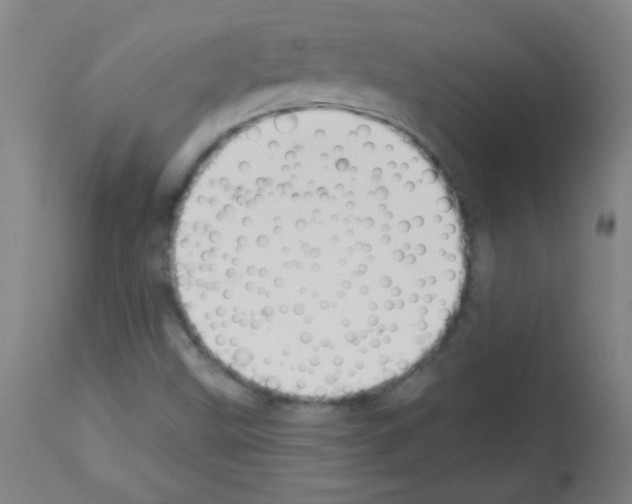 X0000112981499200910081058