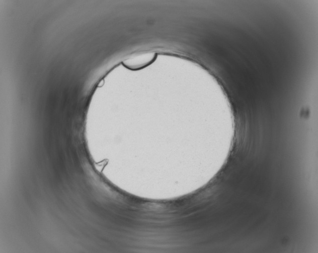 X0000112981500200910081058