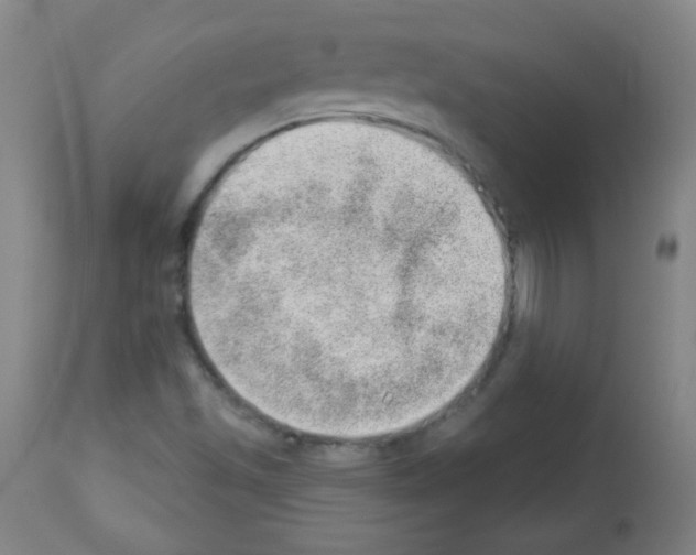 X0000112981501200910081058