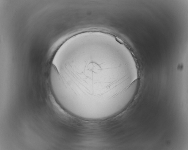 X0000112981504200910081058