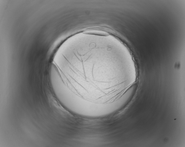 X0000112981506200910081058