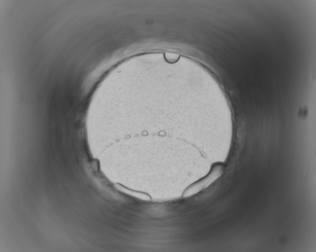 X0000112981507200910081058