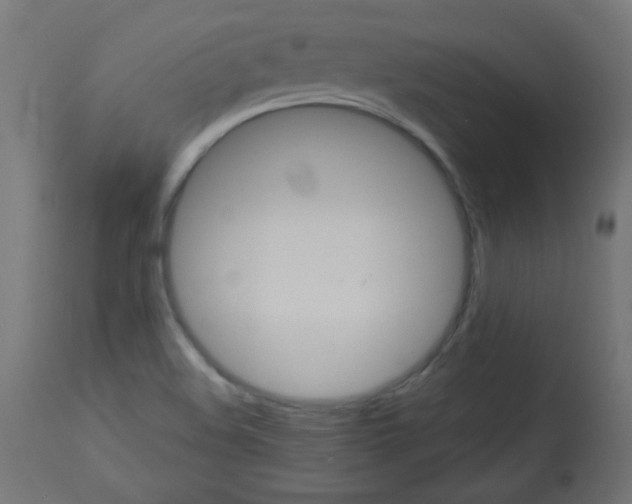 X0000112981508200910081058