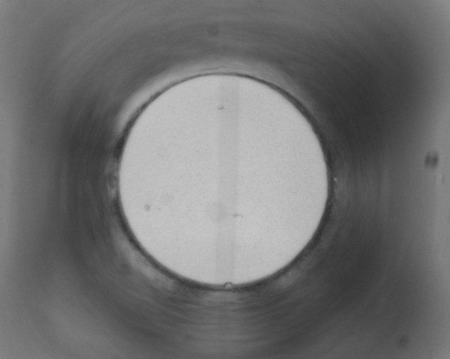 X0000112981510200910081058