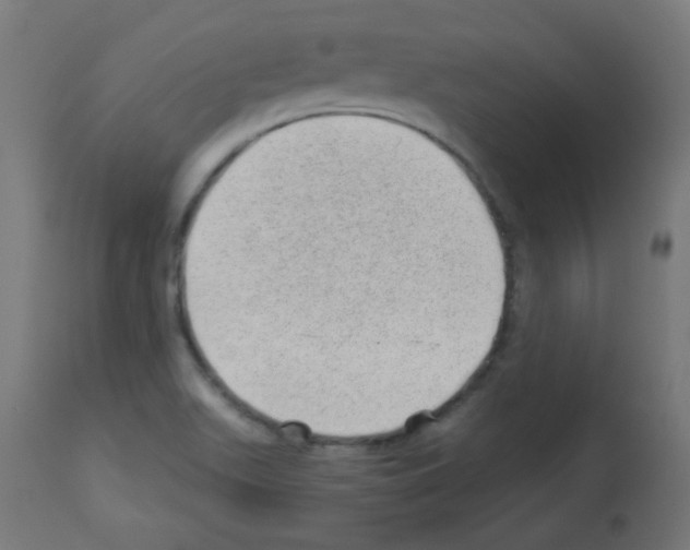 X0000112981511200910081058