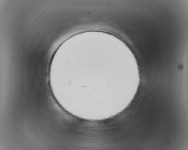 X0000112981512200910081058
