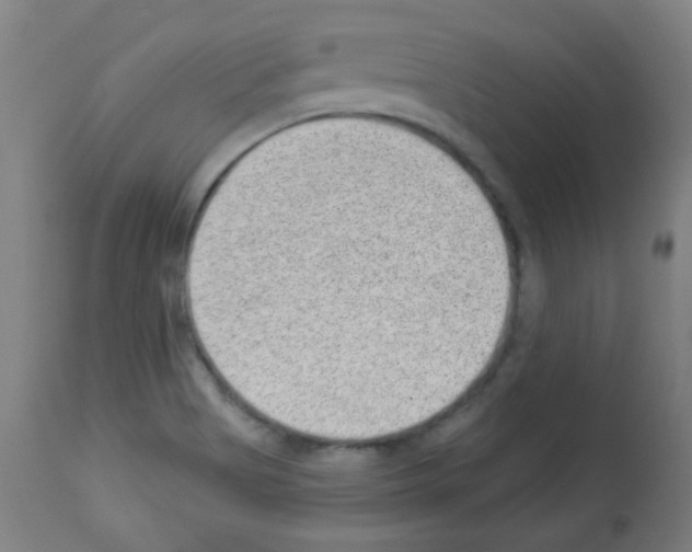 X0000112981513200910081058