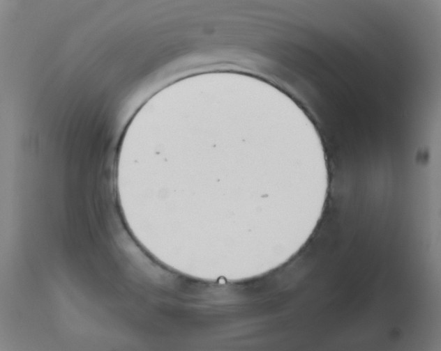 X0000112981516200910081058