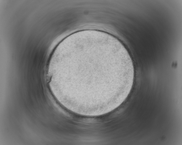X0000112981517200910081058