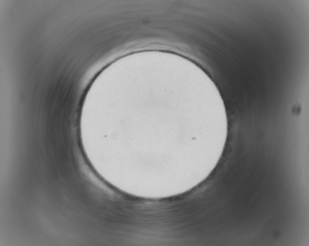 X0000112981518200910081058