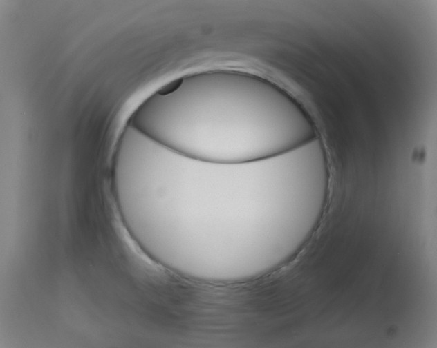 X0000112981520200910081058