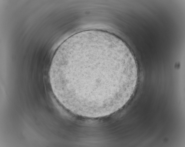 X0000112981521200910081058