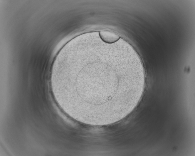 X0000112981525200910081058