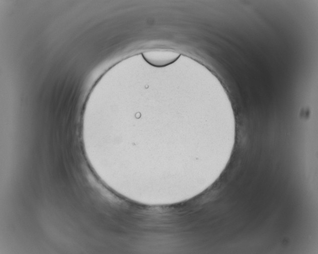X0000112981527200910081058