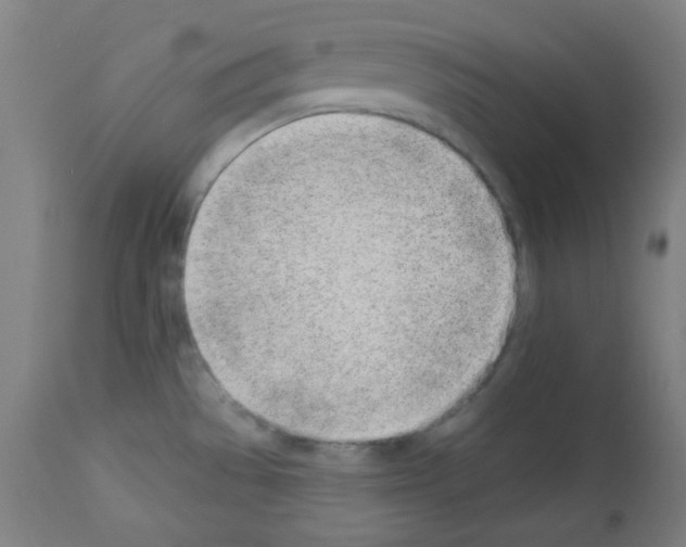 X0000112981529200910081058