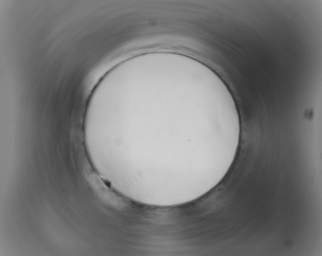 X0000112981530200910081058
