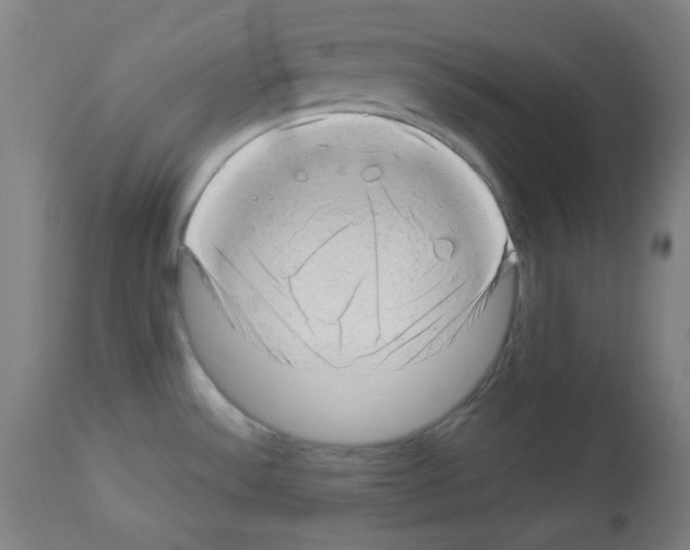 X0000112981532200910081058
