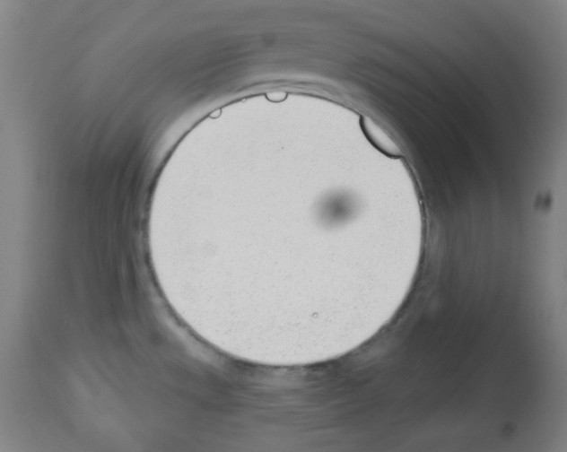 X0000112981533200910081058